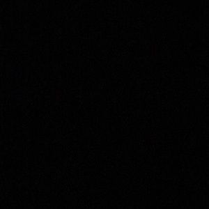 Meet your Posher, Mia